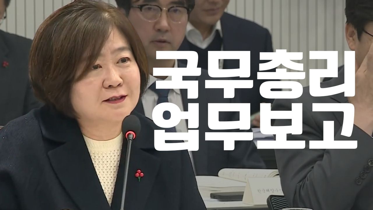 국무총리 업무보고